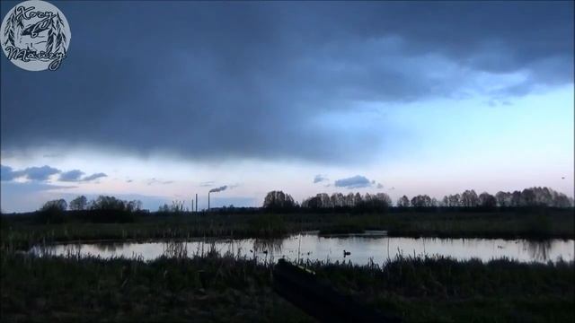 Охота на селезня с подсадной. День седьмой. Грустные события и рссуждения. Почти Унесённые ветром.