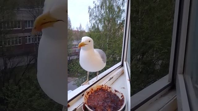 Чайковский ❤️