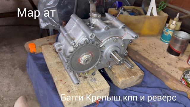 Багги.Крепыш кпп и реверс.