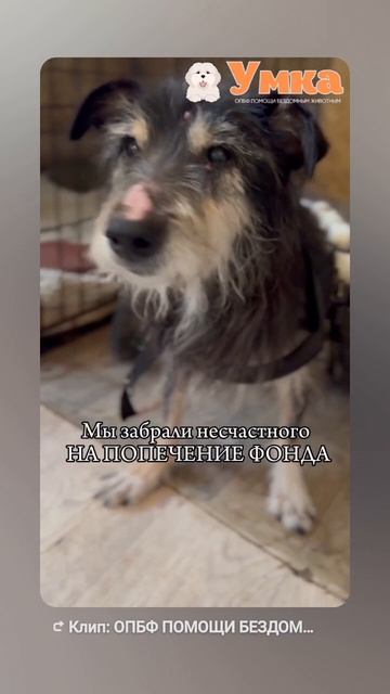 ПОМОЩЬ