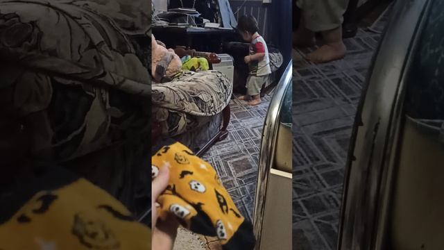 VID