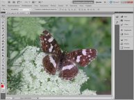 Инструмент Штамп для восстановления в Фотошоп. Фото редактор Adobe Photoshop.