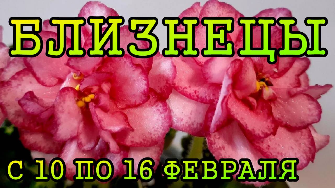 БЛИЗНЕЦЫ таро прогноз на неделю с 10 по 16 ФЕВРАЛЯ 2025 года.