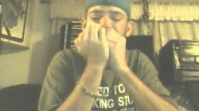 Solo Performance to Brooks & Dunn Neon Moon Harmonica in Country Song