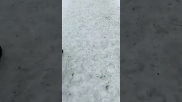 мы гуляем