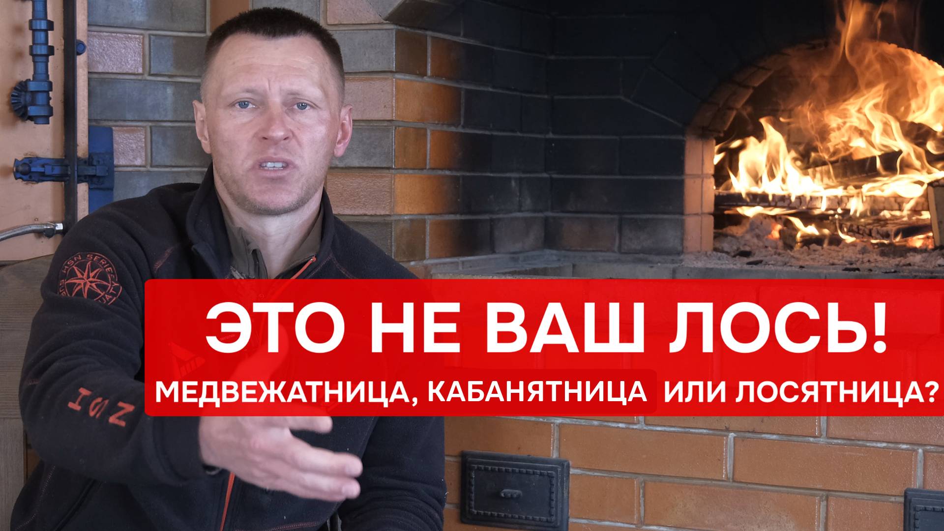 Лайка для кабана? Лосятница? Медвежатница? Как понять. какая лайка у вас?