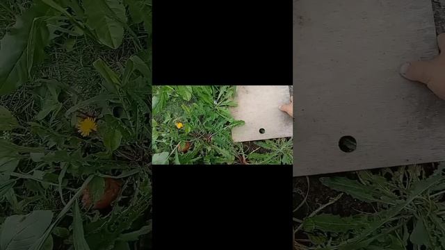 как я тестировал фанеру