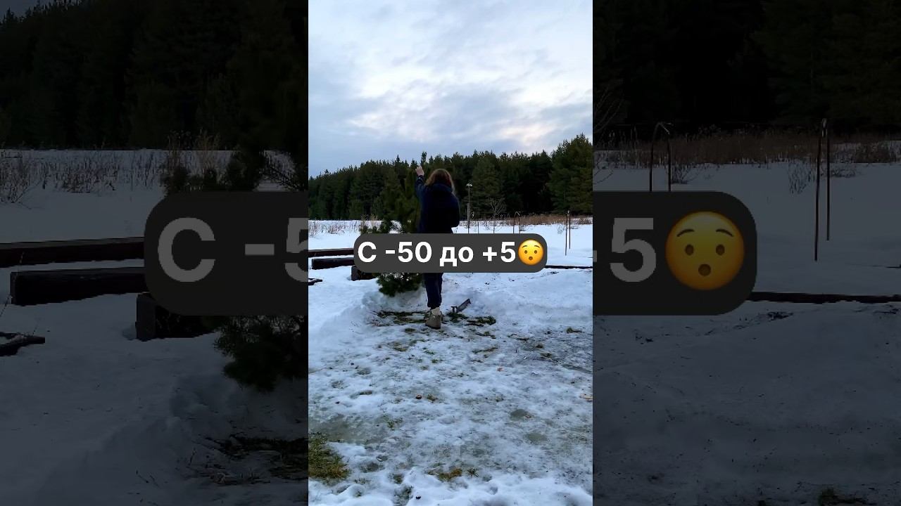 #жизньвдеревне #изгородавсело #деревня