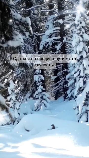 «Сдаться в начале пути — это слабость. Сдаться в середине пути — это глупость. Поэтому ты либо не на