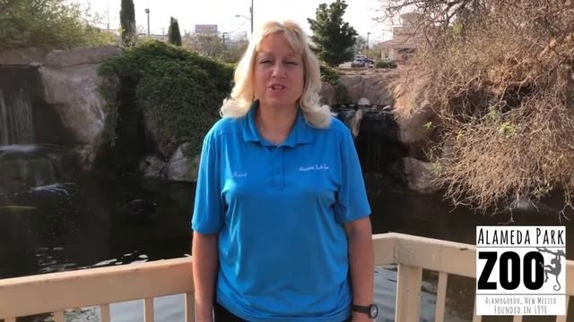 Learn It From The Alameda Park Zoo -  Capybara