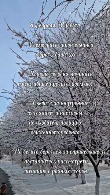 8 февраля #жинка