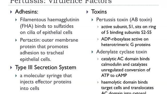 Bio153 2012 Mucosal Infections