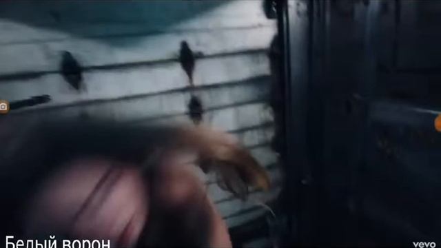 Мияги половина моя