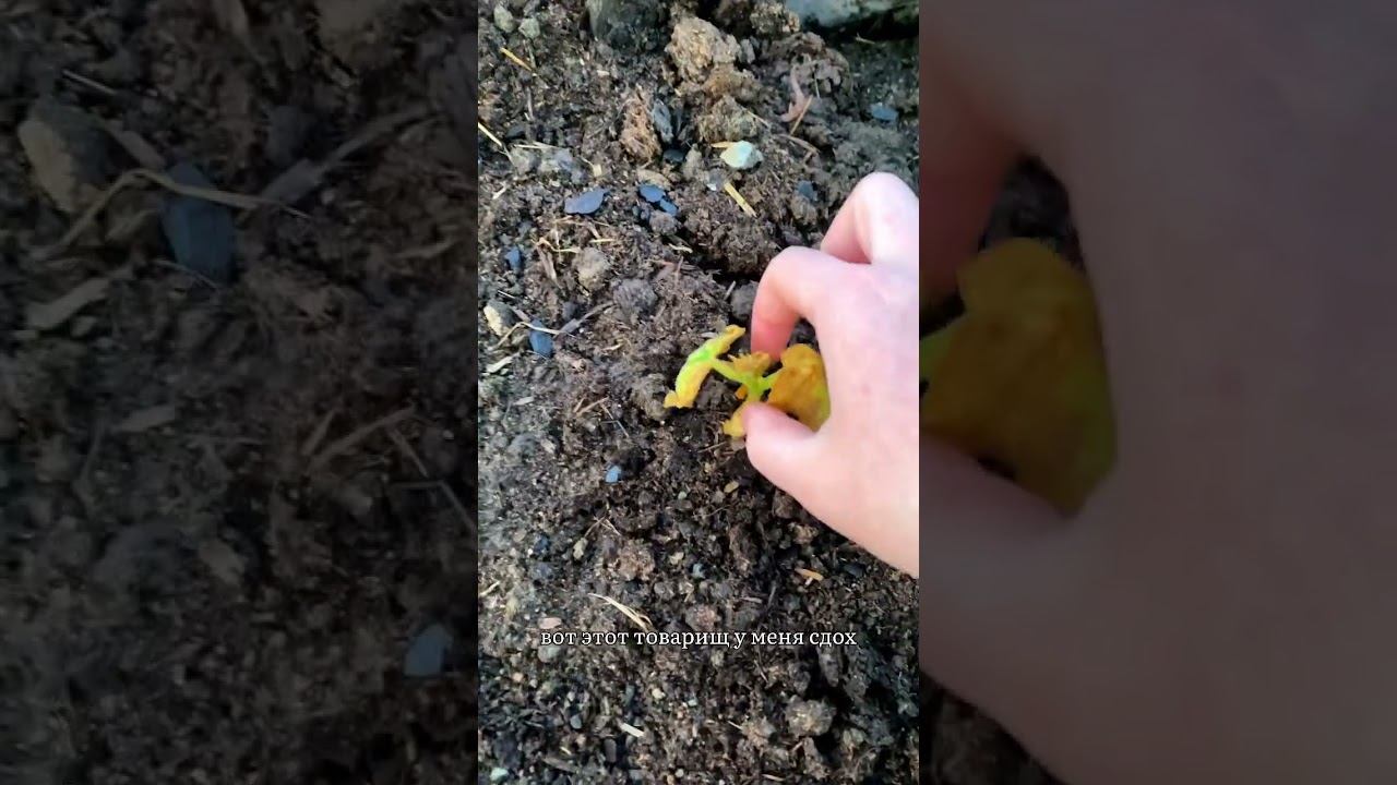 Есть еще вопросы?)