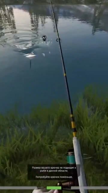 Большеголовый голец чуть не порвал леску #carpfishing #fishing #рыбалка #fishingvideo