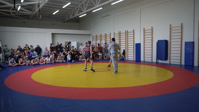 Борьба за 1 место в подгруппе, греко-римская борьба