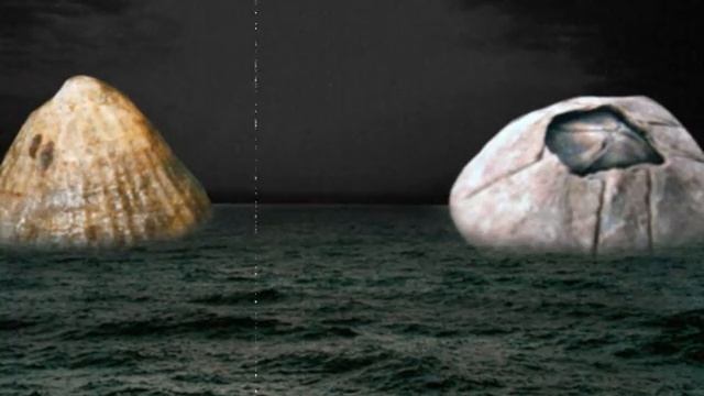 Giant Barnacle Vs Mega Limpet