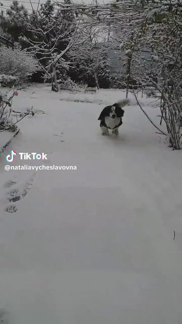 Бегу, бегу...)))