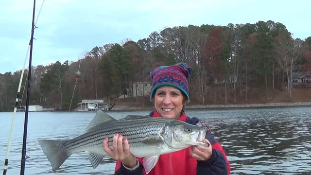 Stripers with Lisa on 11-23-2013