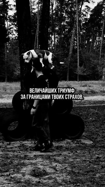 Выйди за рамки дозволенного 🙏