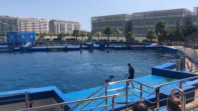 Oceanografic - Valencia - Spain