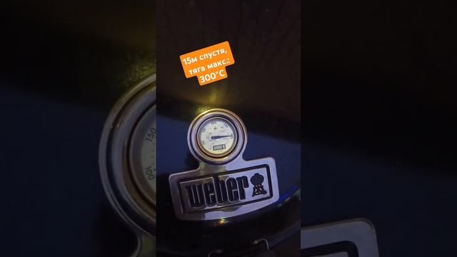 Тест температуры и длительности горения МИГ-1165 Угольные брикеты МангалКазан.ру