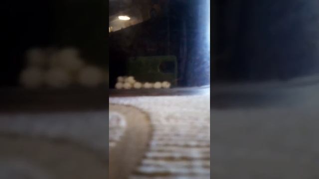 Улитка ахатина отложила яички!!!!!
