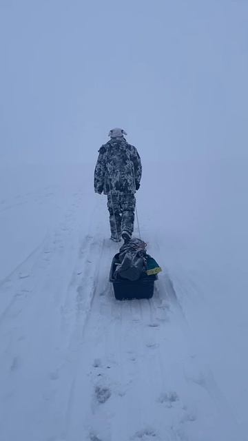 В поисках рыбных мест!
