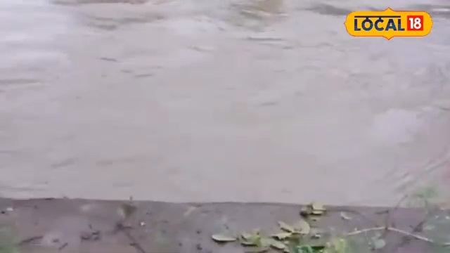 MP Weather Update: Sagar जिले में Heavy Rainfall, नदियों का जलस्तर बढ़ा, बाढ़ की स्थिति #local18