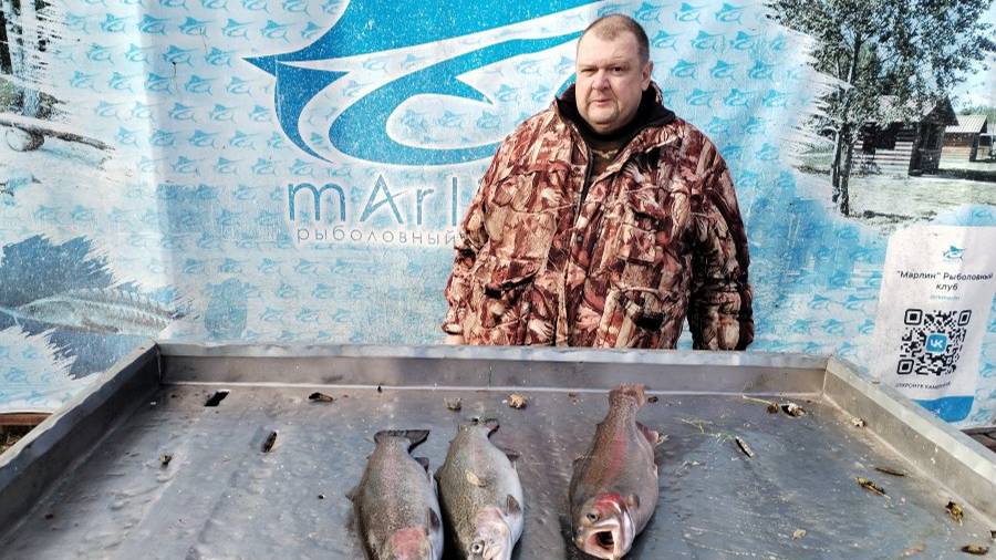 форель или как пролететь