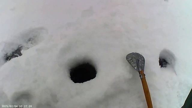Окунь бастует, глухозимье