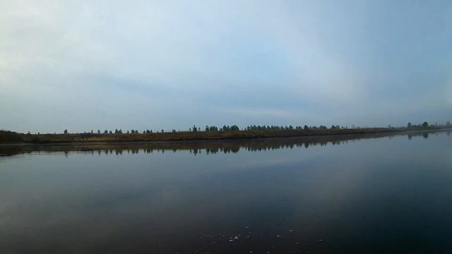 толстолобик на 18кг продолжение