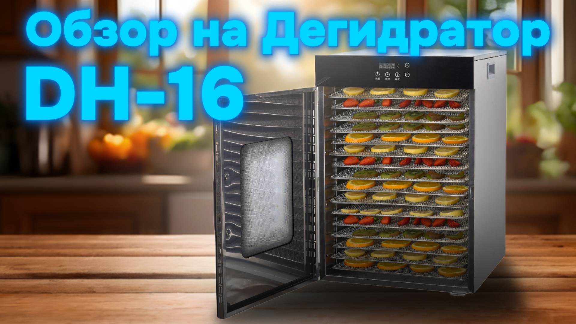 ОБЗОР НА ЛУЧШИЙ ДЕГИДРАТОР DH-16!