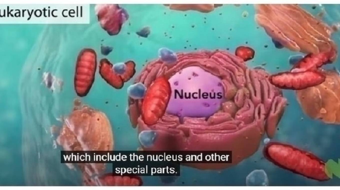 3.3.1+ Интранейронная физиология создаёт вещества для стимулирования длительных состояний Активность