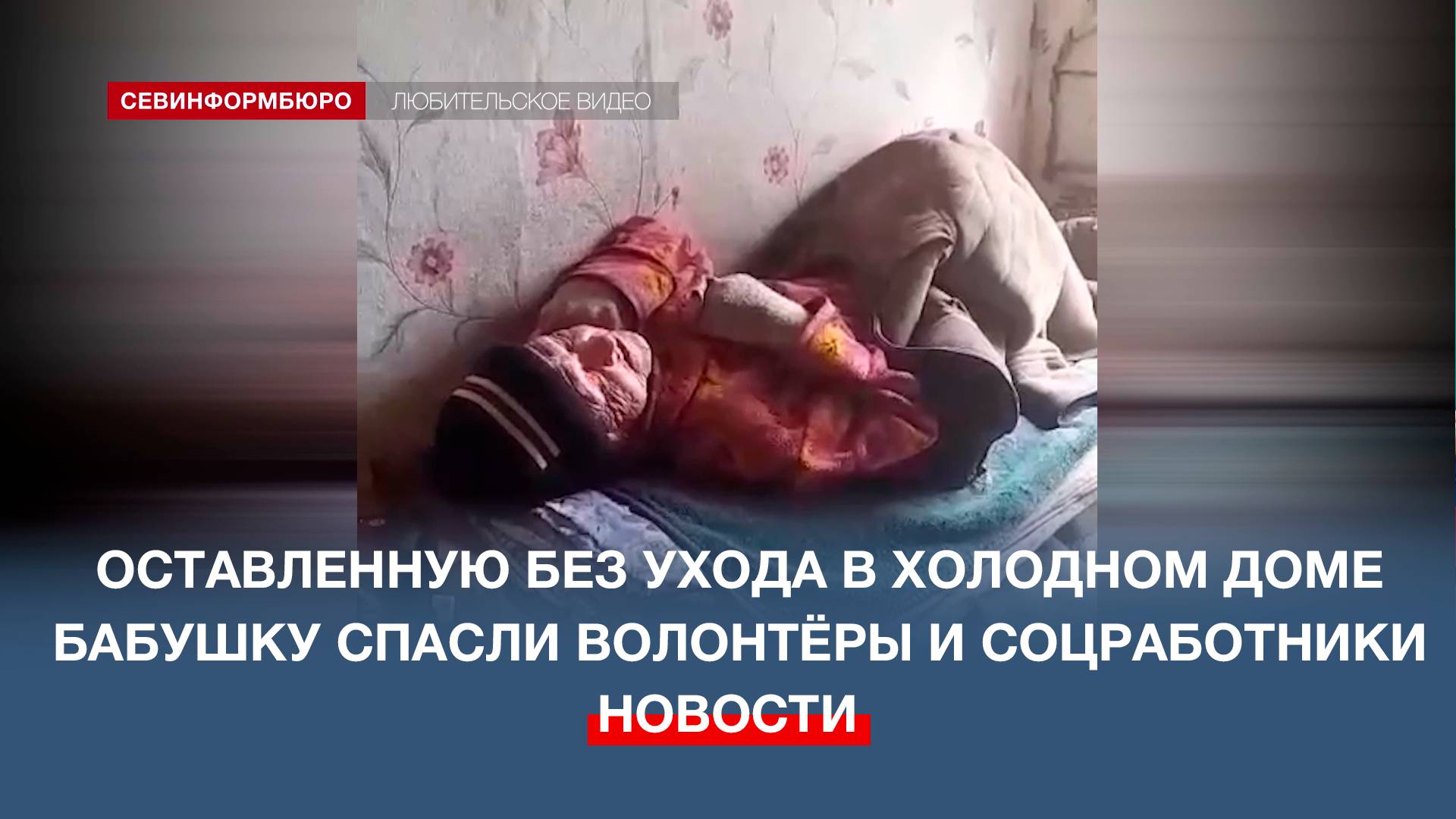 К бабушке привела собака: волонтёры спасли 92-летнюю жительницу Севастополя