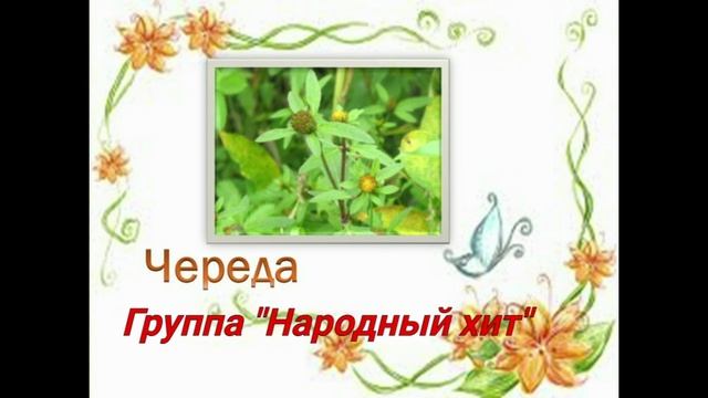 "Череда" Группа НАРОДНЫЙ ХИТ