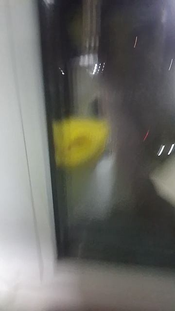 1000008466.mp4