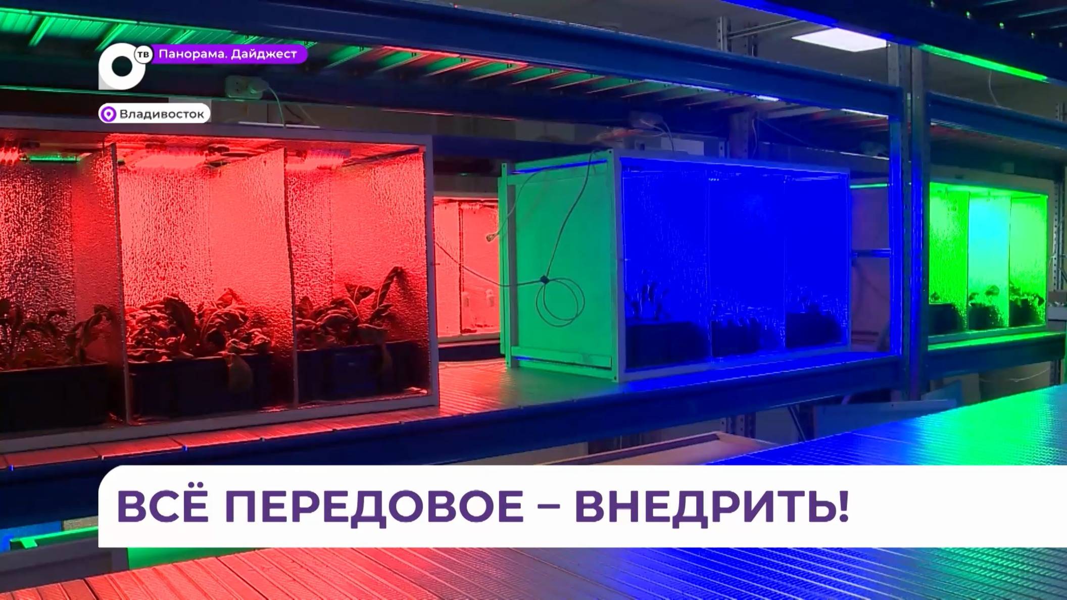 Сразу два нововведения готовит ДВО РАН ко Дню российской науки