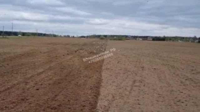 Дискование поля, предпосевная подготовка с последующим посевом травы