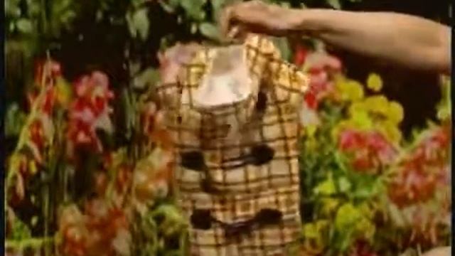 Kakadu Pet is featured on Lauren Collier's "Pet Talk" on News 12 Connecticut  - Spring Fling