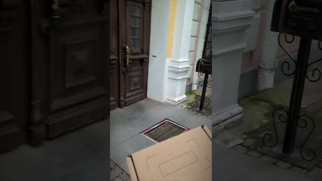 Как лягушка Джейн собиралась домой в США❤️🐸 Желаю лёгкой дороги лягушке-путешественнице😊👍🐸✈️