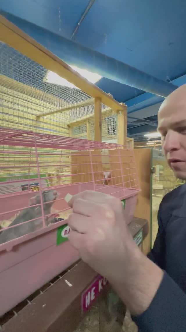 Кормлю мышей в контактном зоопарке, Минск