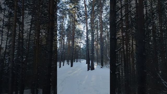 1000138441.mp4 Белокуриха 2025