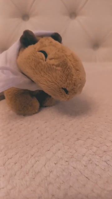 Поломала телефон Капибара #капибара #капибары #капибаратоп #capybara #capybaras #memes #funny