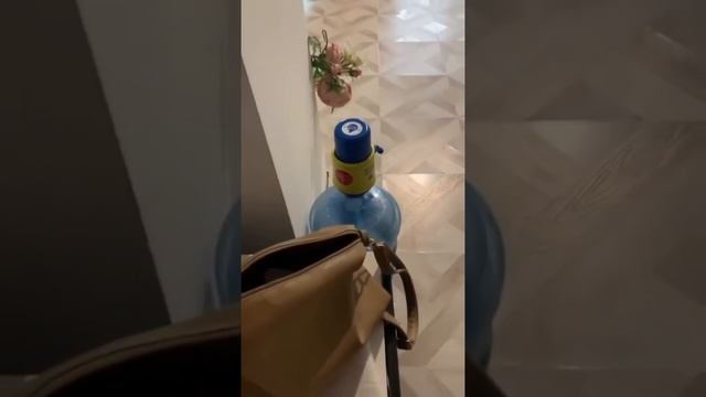 УМНЫЙ ВАСЯ. УНИКАЛЬНОЕ ТВ ОК.