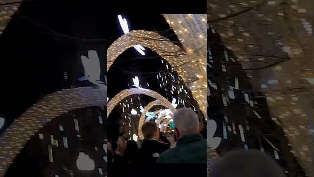 Вечерняя прогулка по Новогоднему Краснодару, Январь 2025. Evening Krasnodar walk 2025