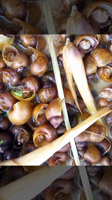 delicious farm shell @PROVINCELIFETV @ProbinsyanoLifestyle @PilipinasViralTrends888