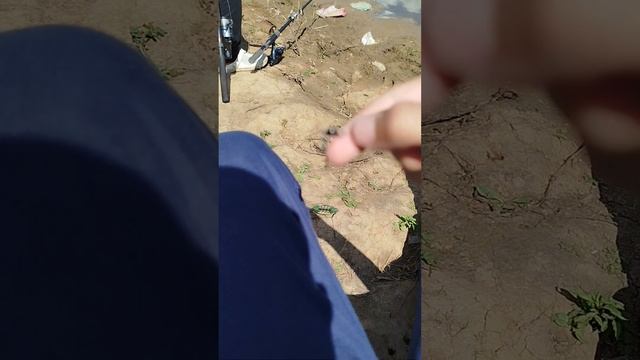 рыбалка. часть 2 . сильнешая неудача