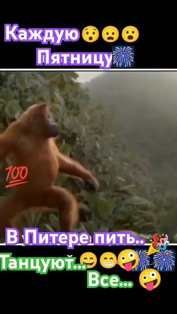 Каждую пятницу...🤪