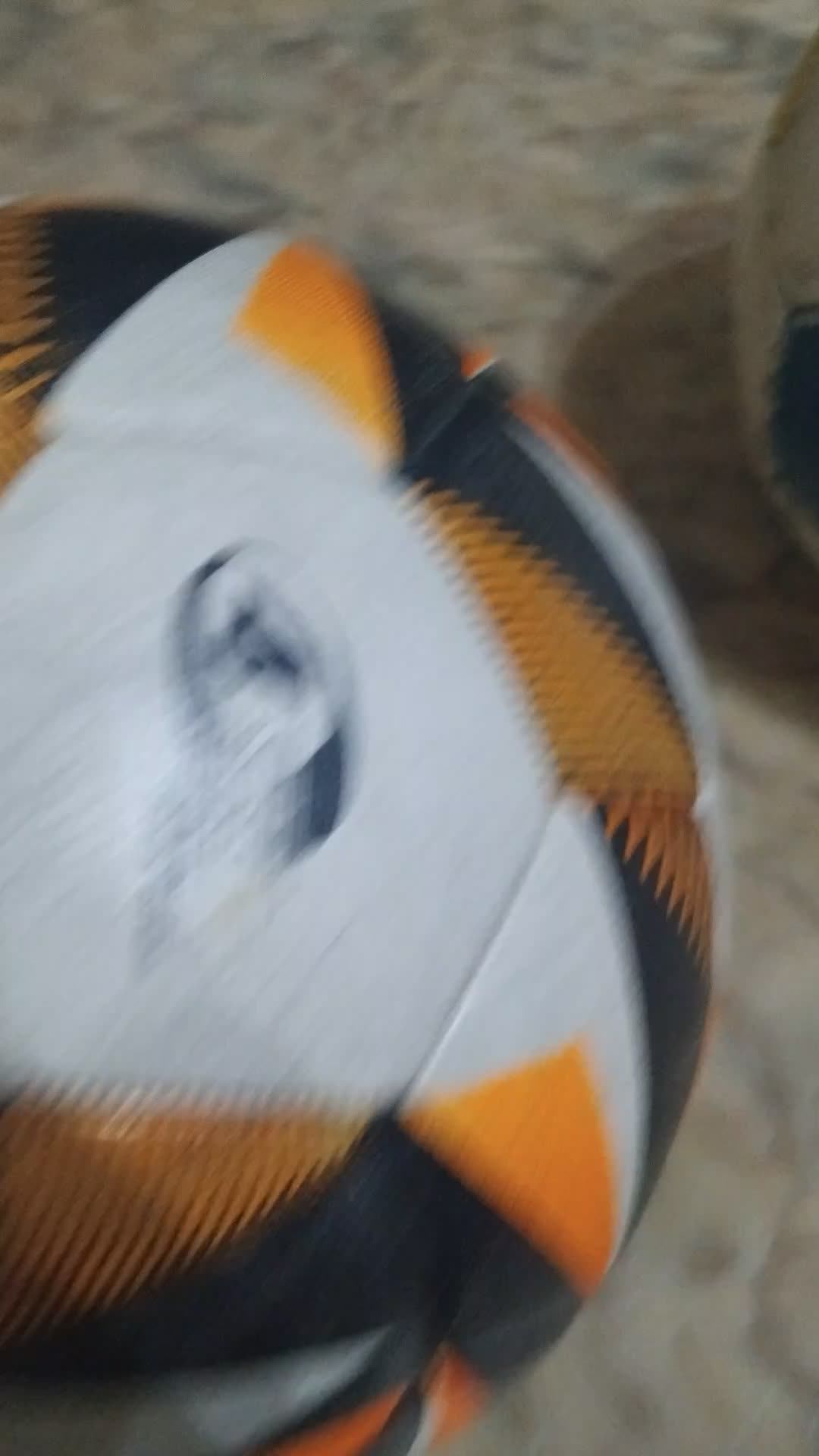 спорт